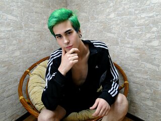 FildyTWINK toy